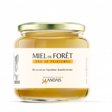 Miel cru de Forêt - Récolte de Printemps