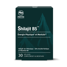 Shilajit B5 