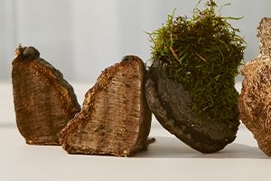 Le Chaga