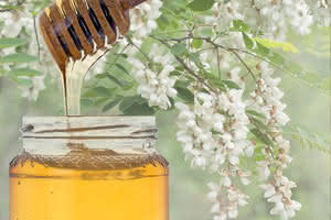 Le miel d'acacia