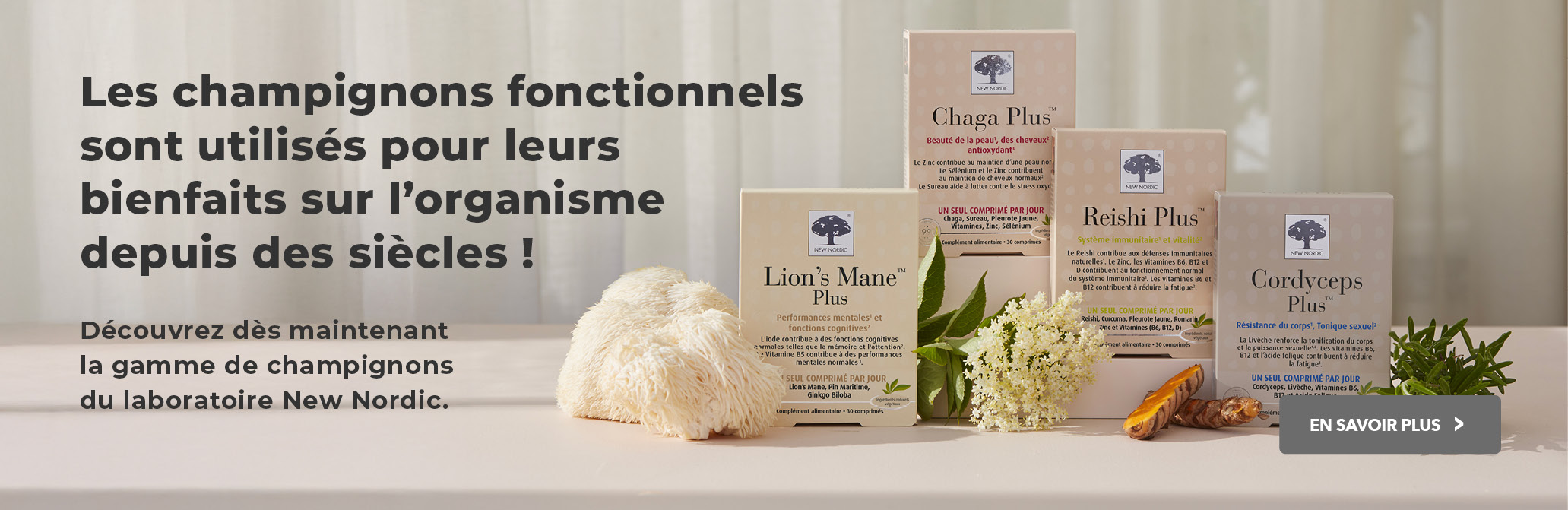 champignons