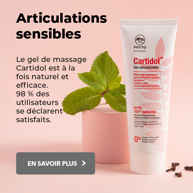 gelcartidol