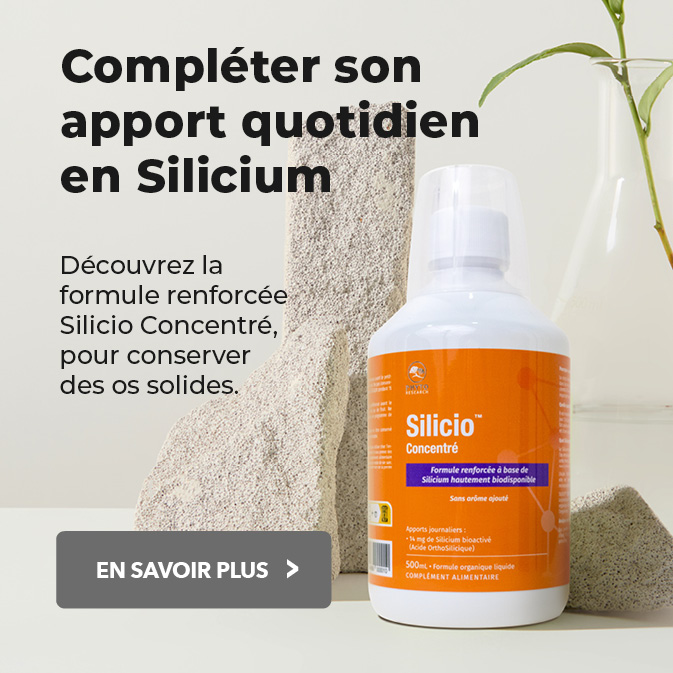 Silicio Concentre