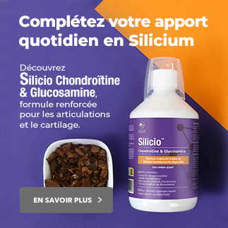 Silicio Chondroitine